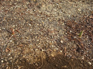 CIMG0446.jpg