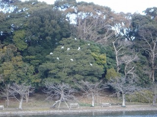 DSCF0082.jpg