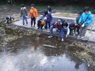 DSCF0083.jpg