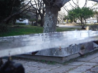 DSCF0085.jpg
