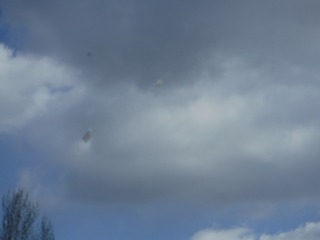 DSCF0089.jpg