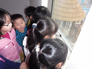 DSCF0577.jpg