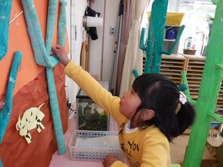 DSCF0593.jpg