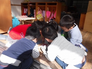 DSCF0785.jpg