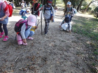 DSCF1172.jpg