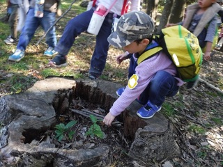 DSCF1177.jpg