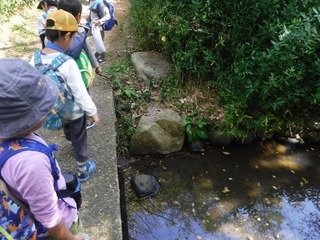 DSCF1182.jpg