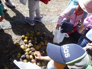 DSCF1188.jpg