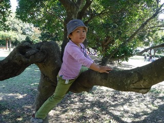 DSCF1217.jpg
