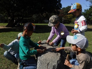 DSCF1233.jpg