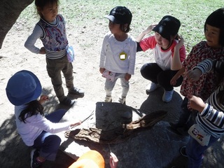 DSCF1236.jpg