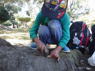 DSCF1247.jpg