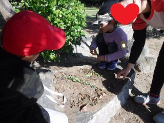 DSCF1263.jpg