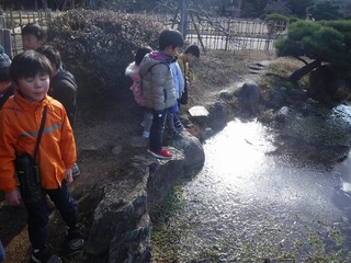 DSCF1366.jpg