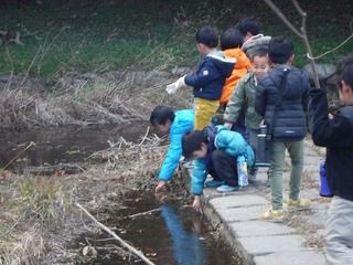 DSCF1371.jpg