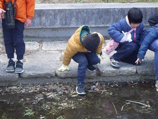DSCF1373.jpg