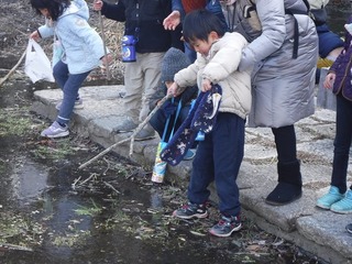 DSCF1375.jpg