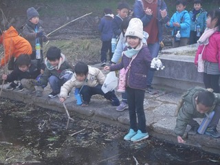 DSCF1379.jpg
