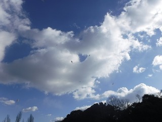 DSCF1386.jpg