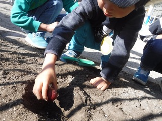 DSCF1445.jpg