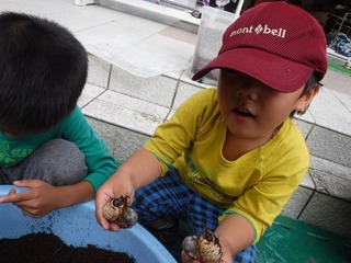 DSCF1601.jpg