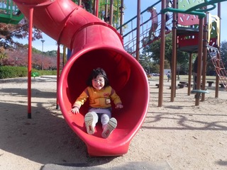 DSCF1859.jpg