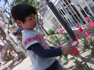 DSCF1866.jpg