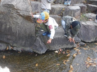 DSCF1908.jpg