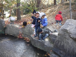 DSCF1912.jpg