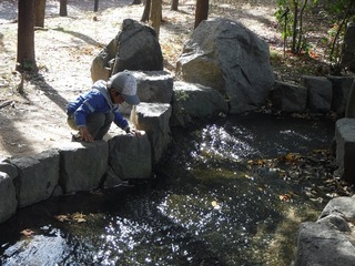 DSCF1914.jpg