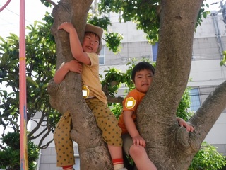 DSCF2362.jpg