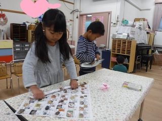 DSCF2415.jpg