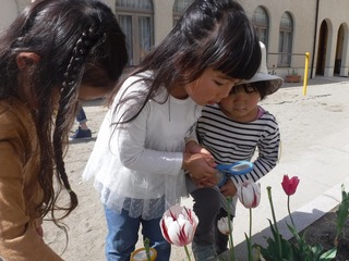 DSCF2713.jpg