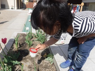 DSCF2715.jpg