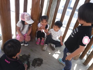 DSCF2778.jpg
