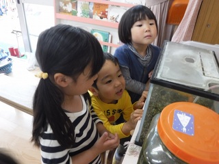 DSCF2941.jpg