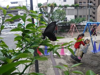 DSCF2969.jpg