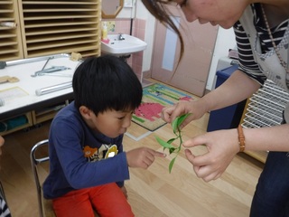 DSCF2974.jpg