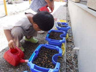 DSCF3049.jpg