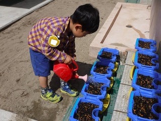 DSCF3079.jpg