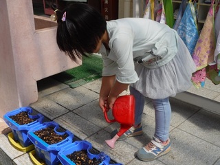 DSCF3080.jpg