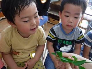DSCF3104.jpg