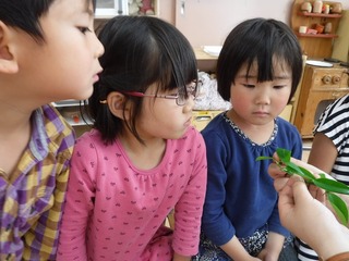 DSCF3106.jpg