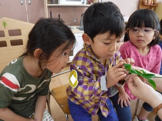 DSCF3107.jpg
