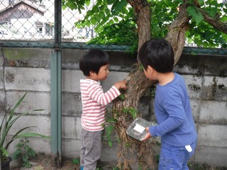 DSCF3128.jpg