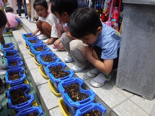 DSCF3129.jpg