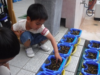 DSCF3138.jpg