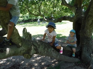 DSCF3303.jpg