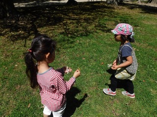DSCF3316.jpg