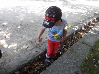DSCF3317.jpg